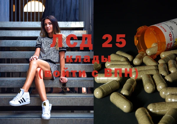 spice Абаза